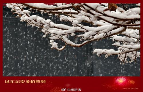 持续性降雪侵袭东北辽宁高速路网受阻